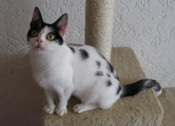 m Bild von Mitxi