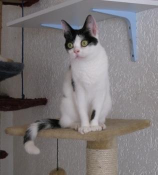 m Bild von Mitxi