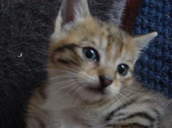 r Bild von Randy