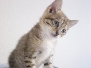 r Bild von Randy