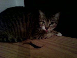 c Bild von Cleo