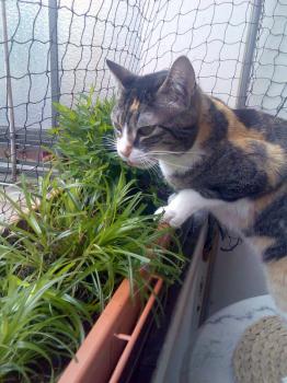 Nora Bild von Nora