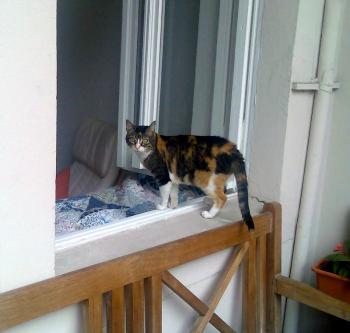 Nora Bild von Nora