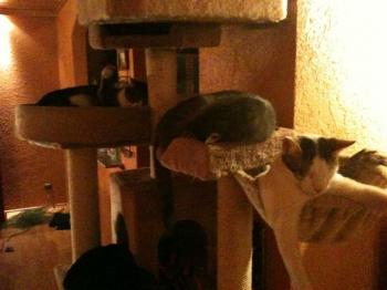 Magoo Bild von Magoo