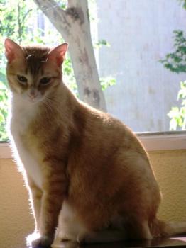 v Bild von Ventisca