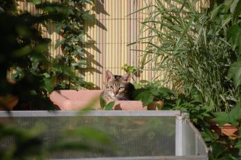 o Bild von Olivia