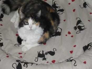 m Bild von Mara - 99
