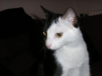 m Bild von Maia