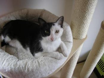 m Bild von Maia