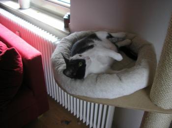 m Bild von Maia