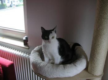 m Bild von Maia