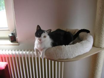 m Bild von Maia