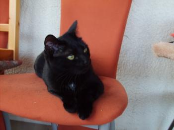 m Bild von Miki