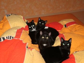 m Bild von Miki
