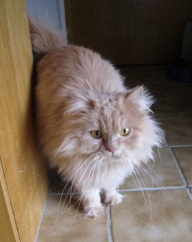 f Bild von Freddie
