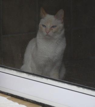 b Bild von Blanquita