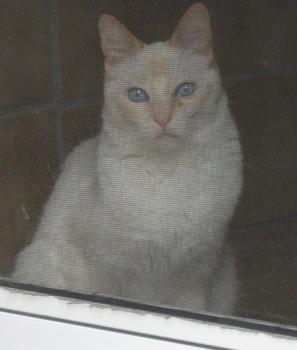 b Bild von Blanquita