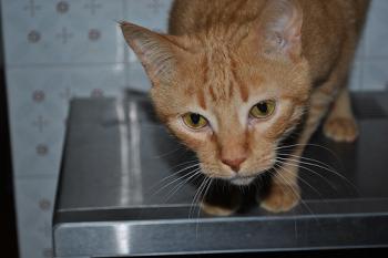 o Bild von Oliver