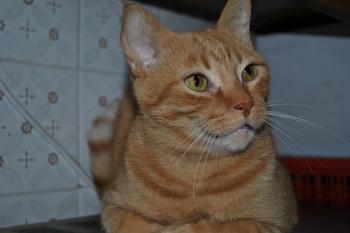 o Bild von Oliver