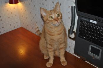 l Bild von Oliver