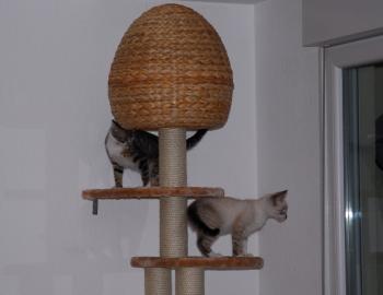 d Bild von Albin