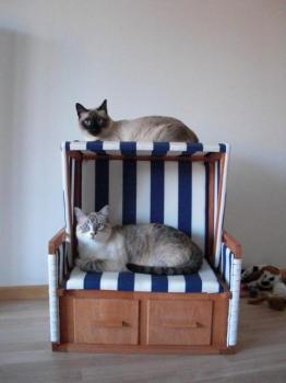 e Bild von Ernie