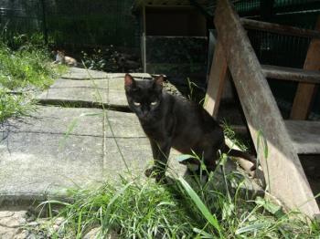 o Bild von Orson