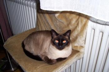 s Bild von Sunny