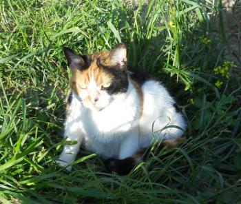 m Bild von Michus