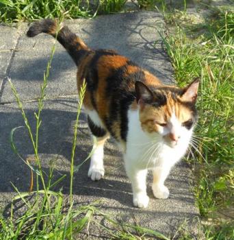 m Bild von Michus