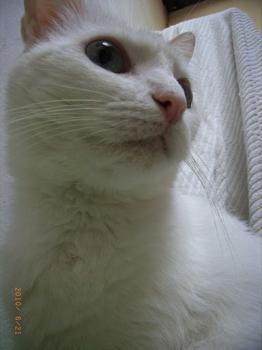 n Bild von Nube
