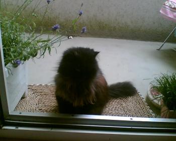 z Bild von Zeidan