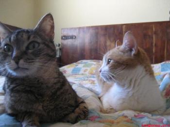 Sara und Soyuz Bild von Sara Esther