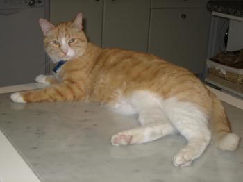 Zoco Bild von Zoco