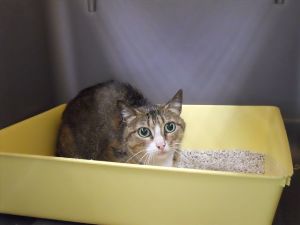 Bild von Sarita