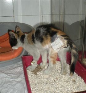 s Bild von Sandy