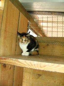 Dorotea Bild von Dorotea