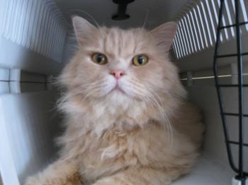 s Bild von Sunny