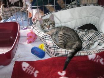 b Bild von Betty