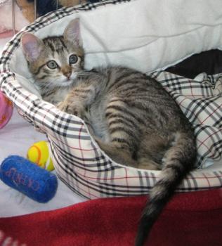 b Bild von Betty