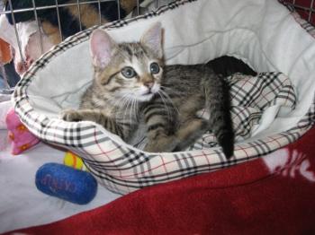 b Bild von Betty