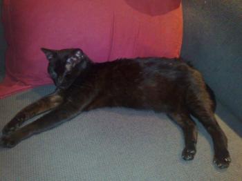 m Bild von Mony Penny