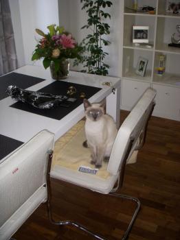s Bild von Sammy
