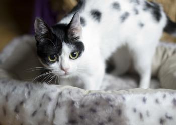 m Bild von Mitxi