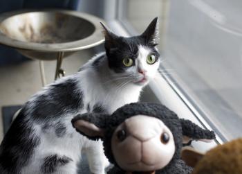 m Bild von Mitxi