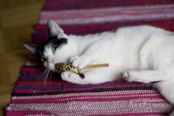 m Bild von Mitxi