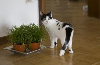 m Bild von Mitxi