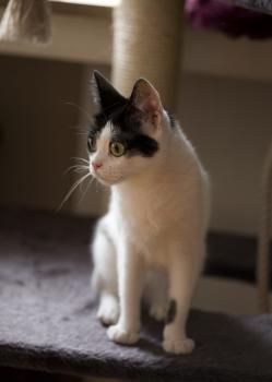 m Bild von Mitxi