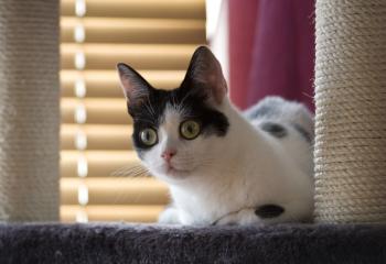 m Bild von Mitxi