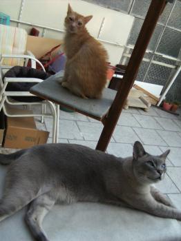 f Bild von Friki
